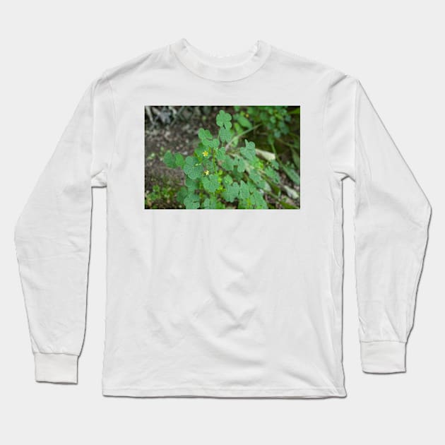 Clover leaves Long Sleeve T-Shirt by Beccasab photo & design